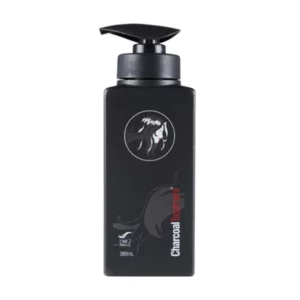 Hair 2 Beauty Charcoal Treatment 380ml
